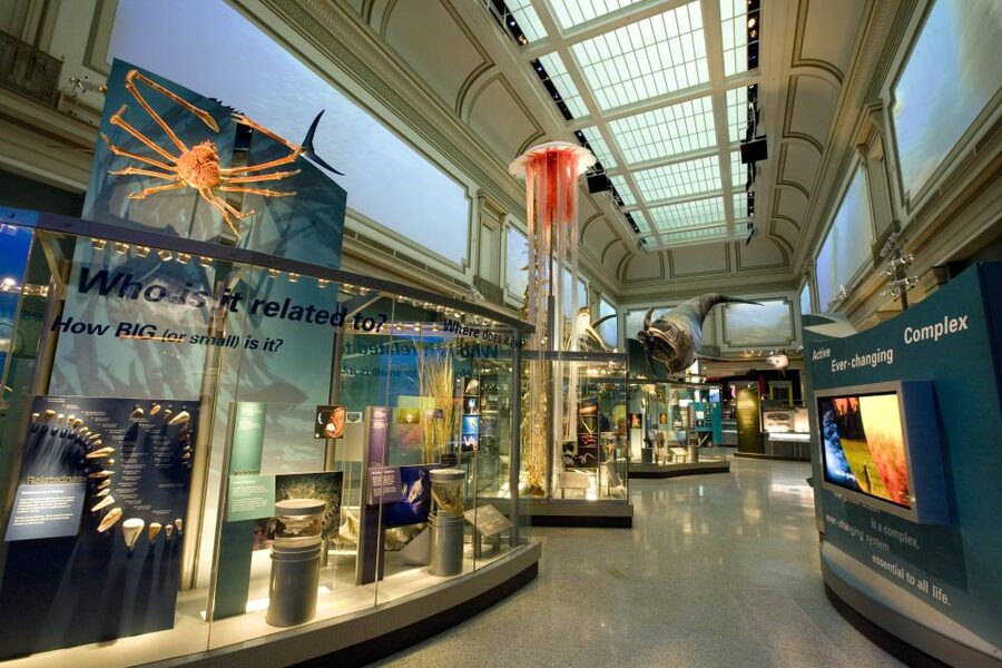 Washington DC: National Museum of Natural History Tour - Logistics that affect your day more than you’d think