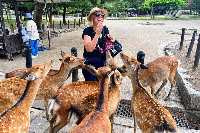 World Heritage Kyoto & Nara Uji Authentic Matcha Experience - Key things that make this tour work