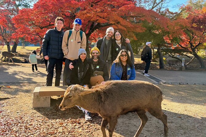 World Heritage Kyoto & Nara Uji Authentic Matcha Experience - Why Nara and Uji are a smart combo for one day