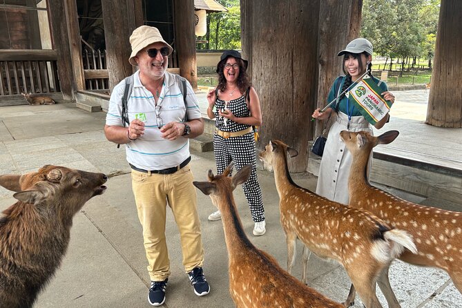 World Heritage Kyoto & Nara Uji Authentic Matcha Experience - The World Heritage palace site: why it’s worth including